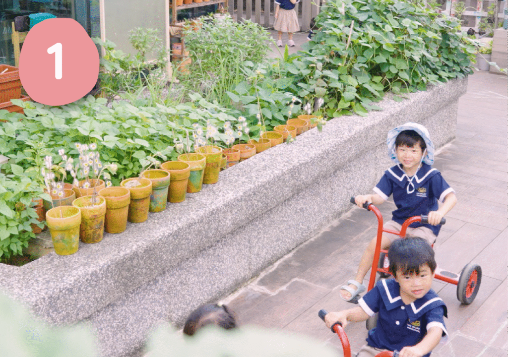 Lily Valley_Blog_December 2-03