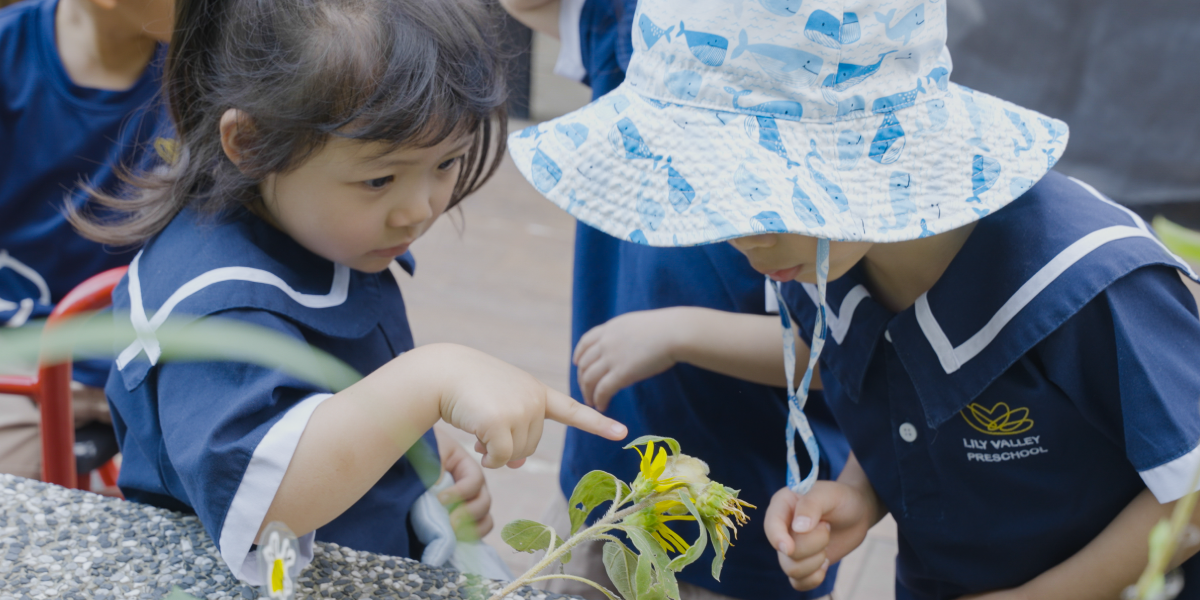 Lily Valley_Blog_April 2-06